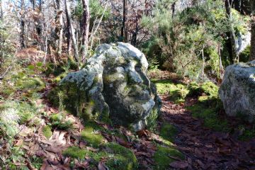 scultura in pietra verde raffigurante il gigante della mitologia