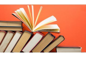 Immagine mostra una varietà di libri.