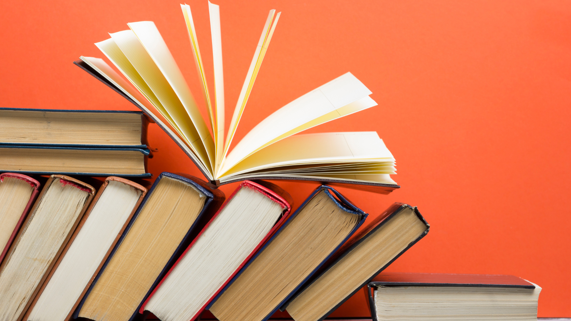 Immagine mostra una varietà di libri.