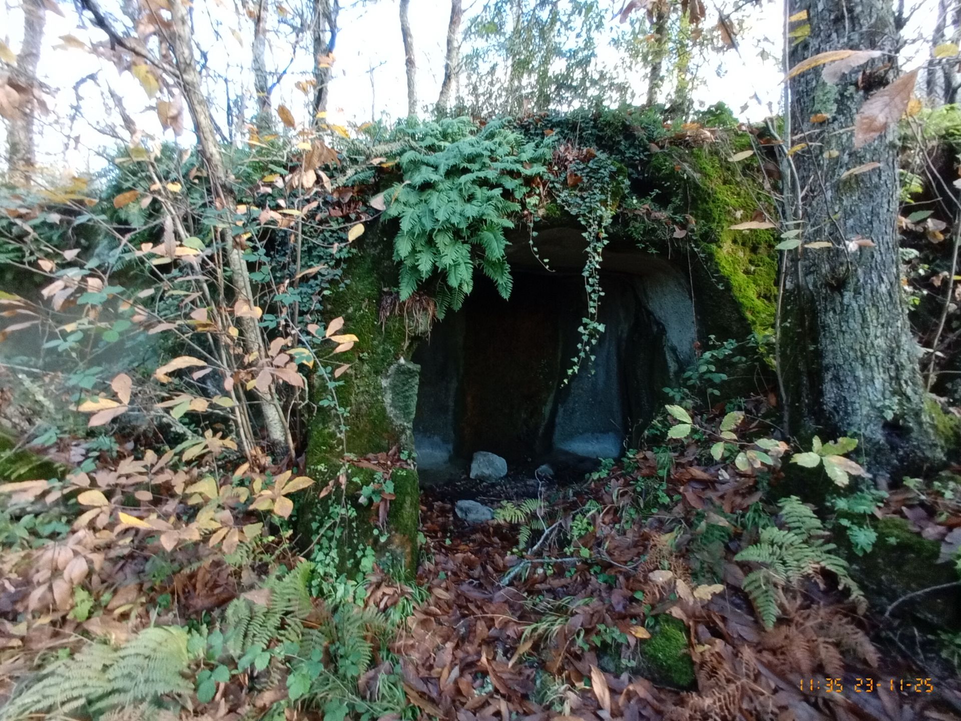 masso di tufo verde, ricoperto da muschio e vegetazione, scavato dall'uomo per farne un rifugio.
